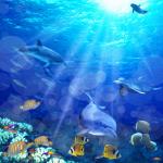 Шторка в ванную комнату, фотопечать, МОРСКОЕ ДНО 