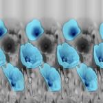 Штора с рисунком, ГОЛУБЫЕ МАКИ, в ванную комнату, без колец, полиэстэр